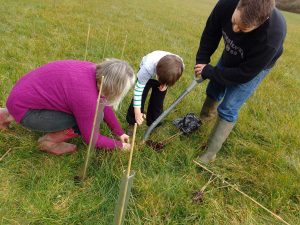 family planting a tree